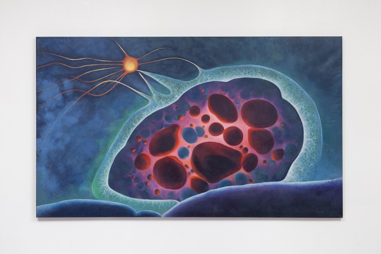Imaginarium, curated by Silvana Lagos