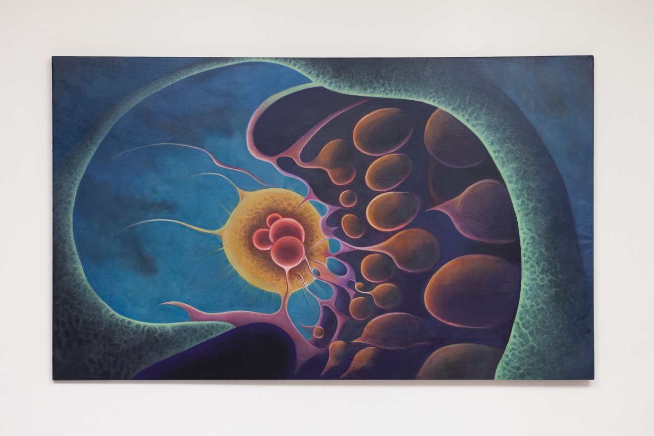 Imaginarium, curated by Silvana Lagos