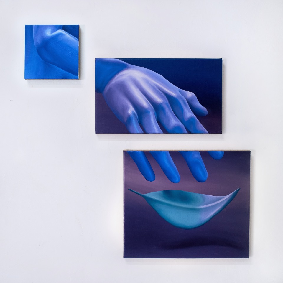 Imaginarium, curated by Silvana Lagos