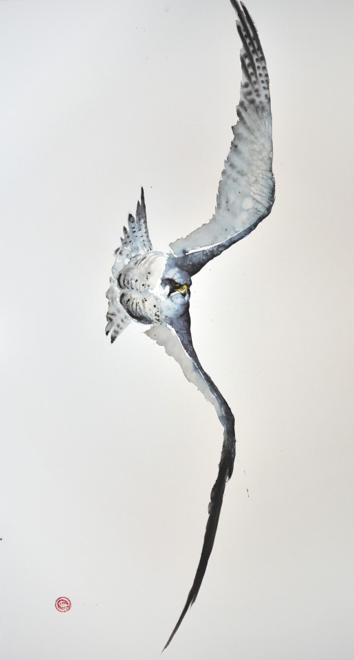 Peregrine Falcon Ii Watercolour 59 X 39 1 2 Karl Martens Cricket Fine Art