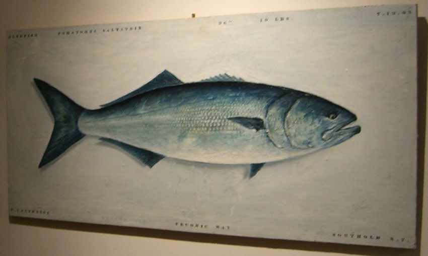 Andrew Castrucci, Fish, 2002