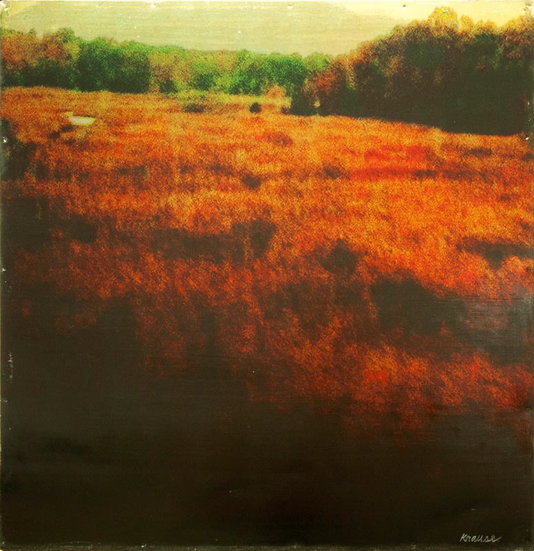 Dorothy Simpson Krause, Crimson, 2011