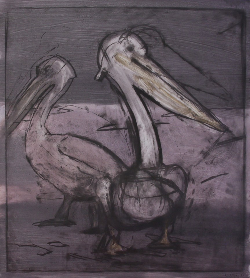 Malcolm Moran, Pelican Prepares Himself to Fish #1