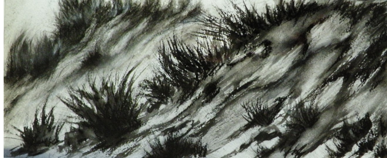 Liz Engelhardt, August, 2010