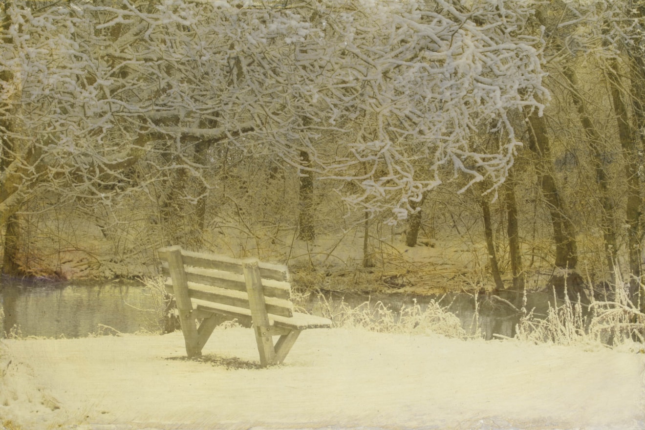 Dorothy Simpson Krause  Spot for Contemplation  2006  UV cured flatbed print on polycarbonate over silver leaf on board  32 x 48 x 1.5 in.