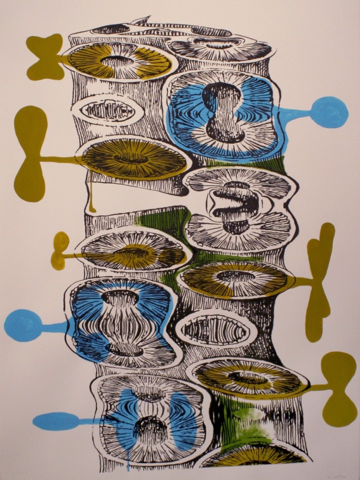 Brian Fekete, Cuttlefish Stretch No.4, 2009