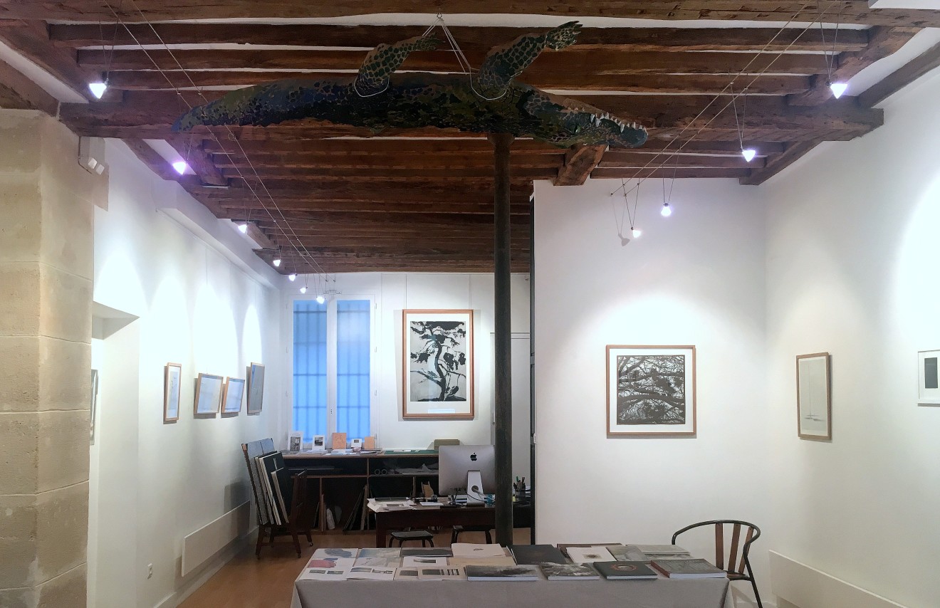 Exposition Galerie Documents 15