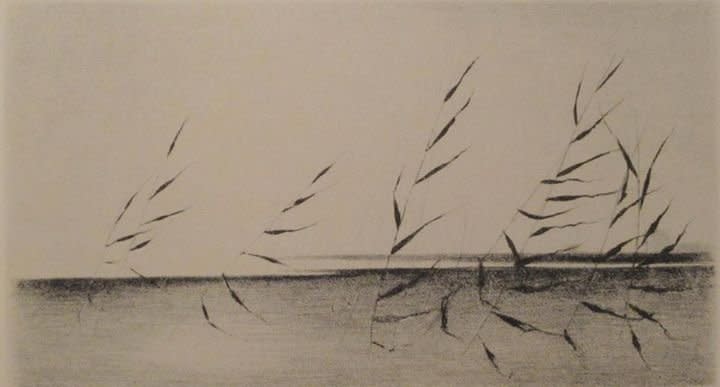 Gunnar Norrman, Vajande vass (Roseaux se balançant), 1958
