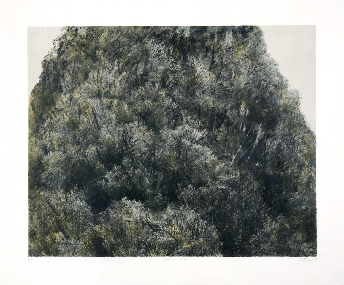 Farhad Ostovani, Cyprès , 2012