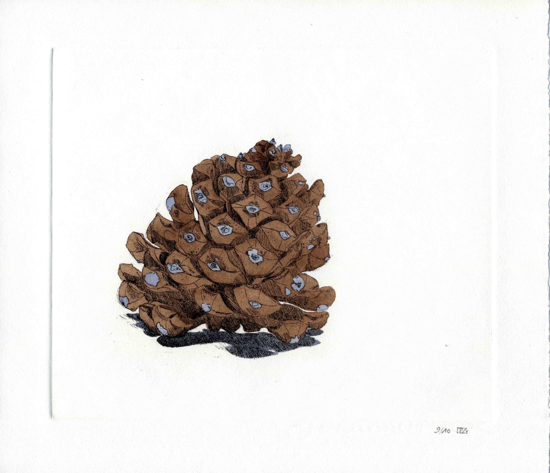 Delphine D. Garcia, 20.VIII.13.2013 (La pomme de pin), 2013