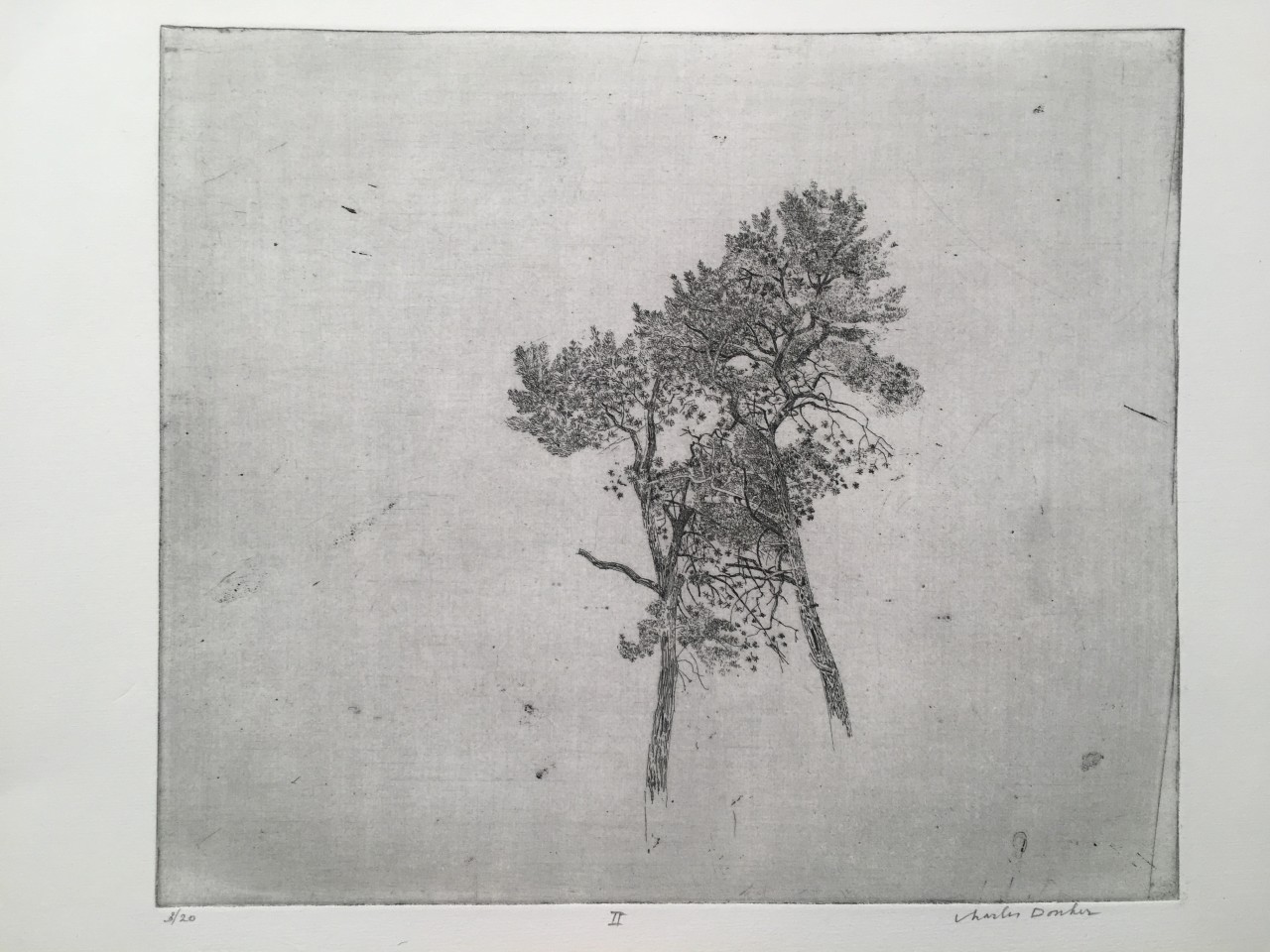 Charles Donker, Twee grove dennen II (Deux pins sylvestres II), Circa 2015
