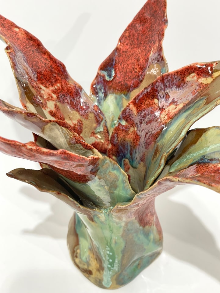 Helena Arellano Mayz, Agave, 2024