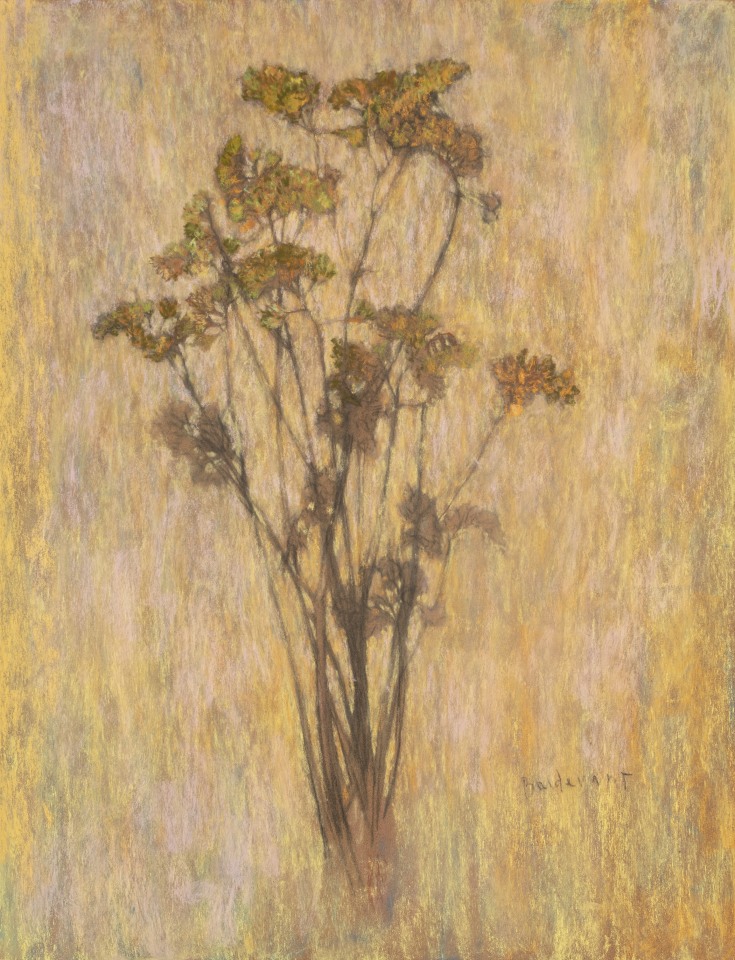 Martin Basdevant, Bouquet de statices , 2023