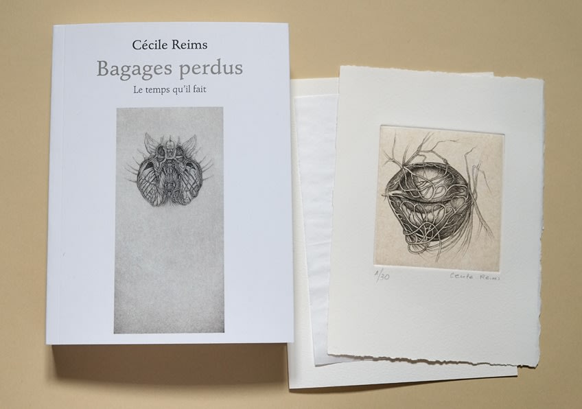 Cécile Reims, Bagages perdus, 2018
