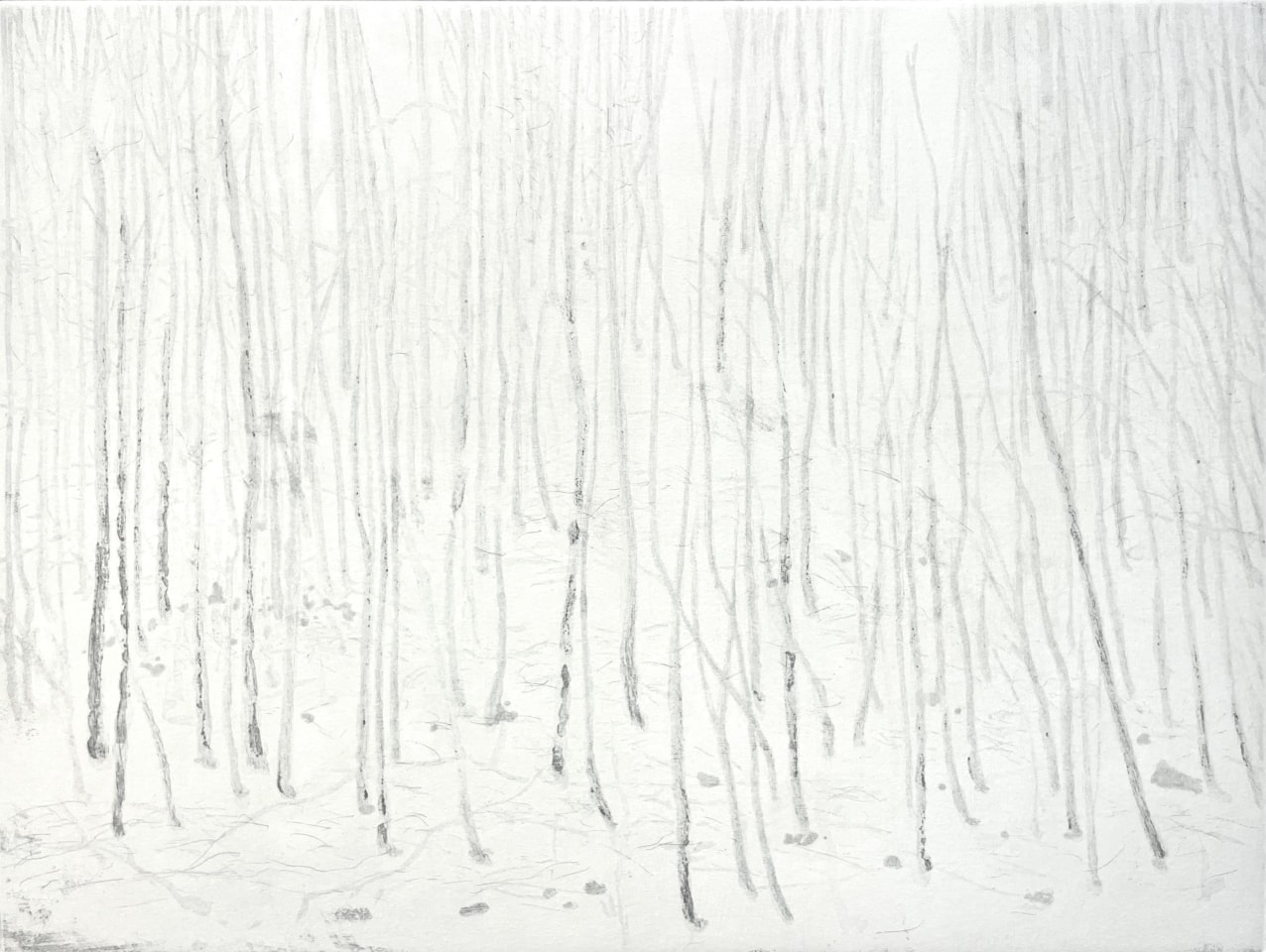 Maurice Maillard, Marchant vers les cimes, 2013