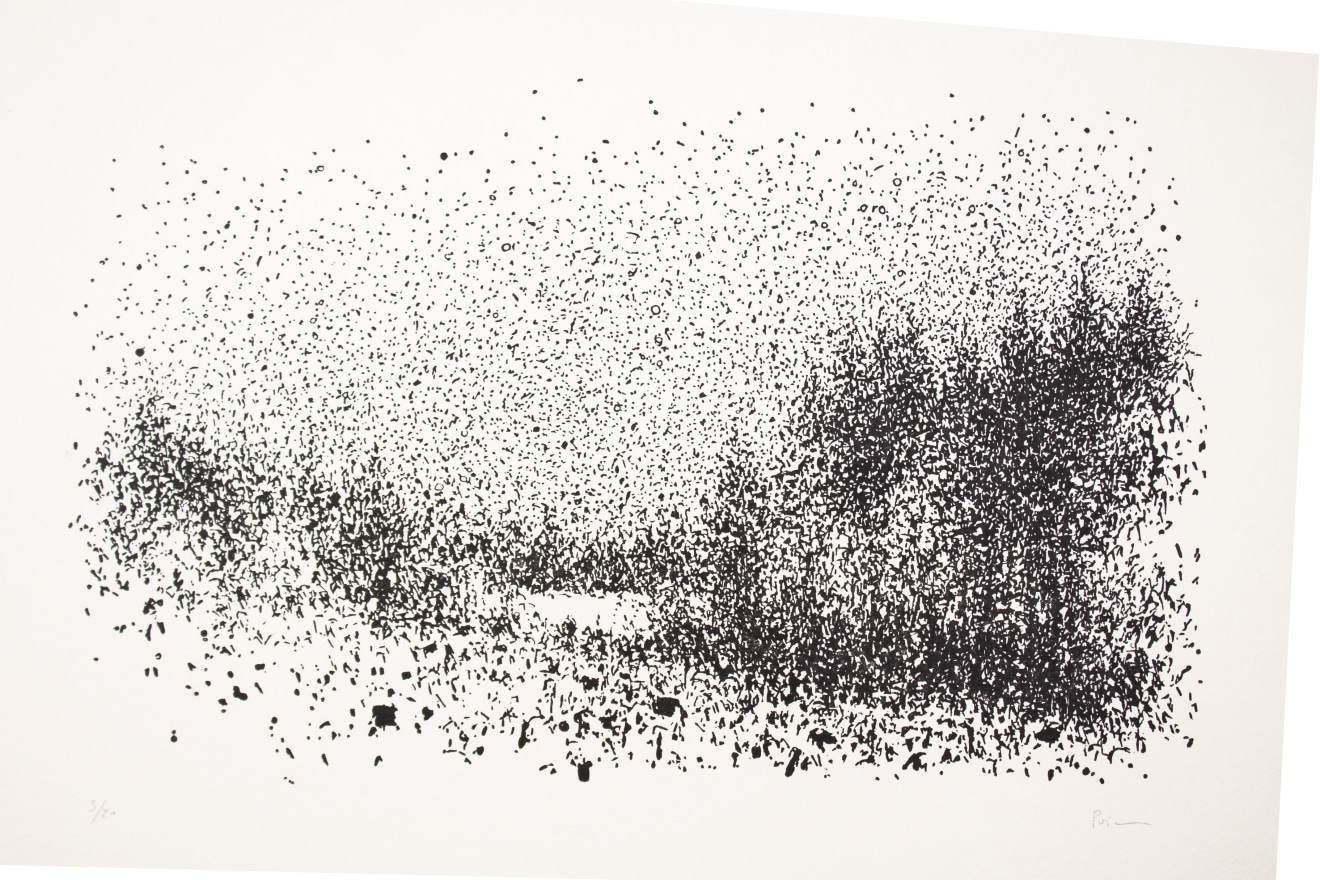 Nicolas Poignon, Forêt noire, 2020