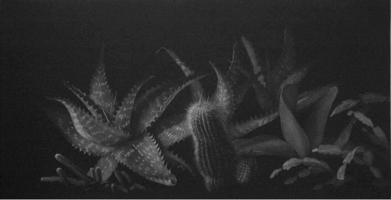 Judith Rothchild, Les Plantes grasses, 2002