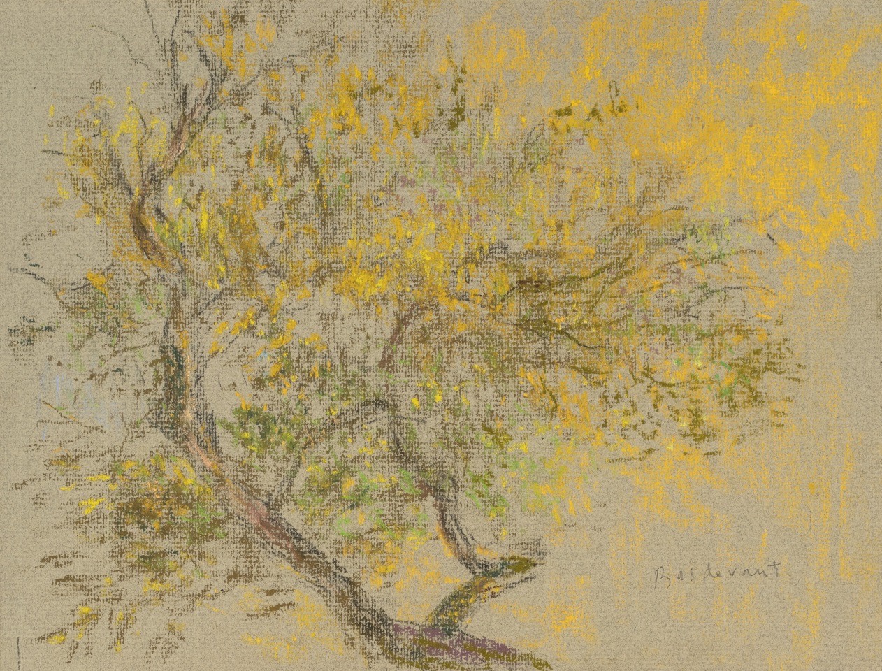 Martin Basdevant, Étude d'arbre, 2021