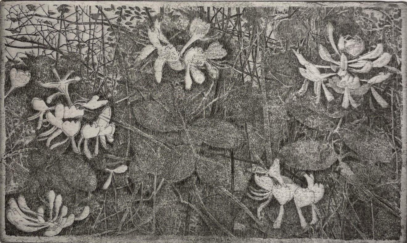 Charles Donker, Kamperfoelie (Chèvrefeuille), 2023-2025