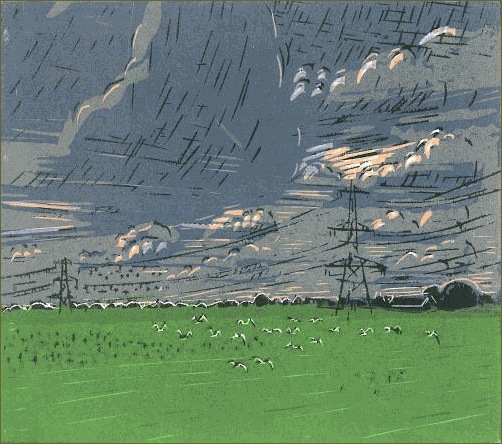 Wendelien Schönfeld, Overijssel, 2005