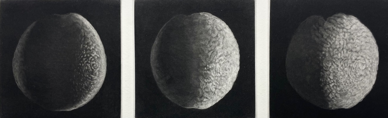 Judith Rothchild, Nocturne, 2024