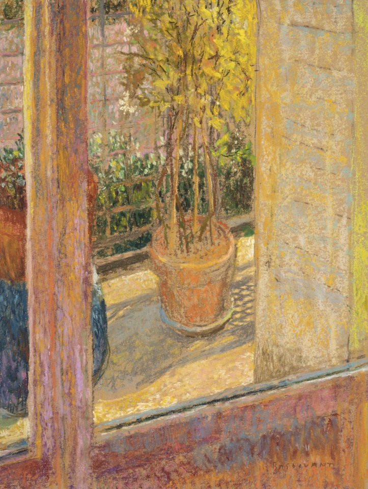 Martin Basdevant, Jasmin fleuri, 2021