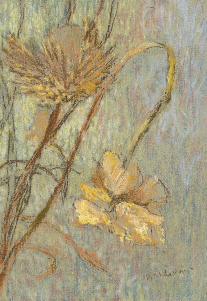 Martin Basdevant, Renoncules I, 2021