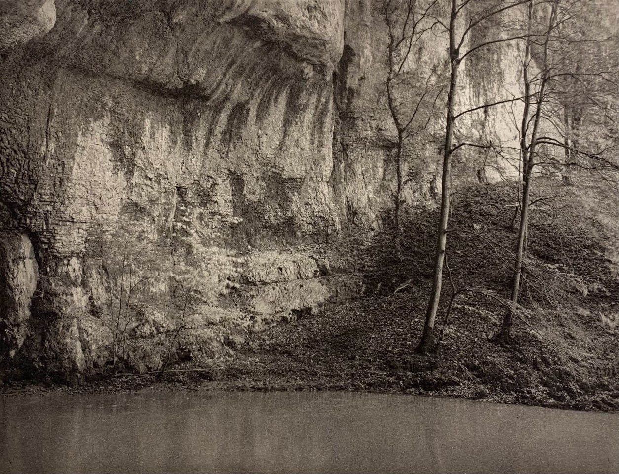 Jon Goodman, Tree & Cliff, Lison, 1985