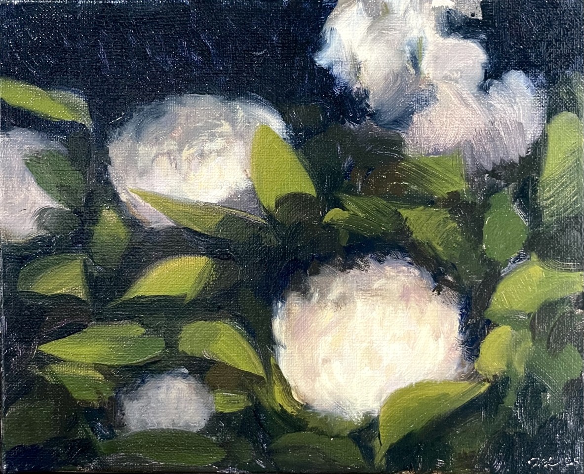 Nicolas Sage, Série "Hydrangéas" - IV, 2025