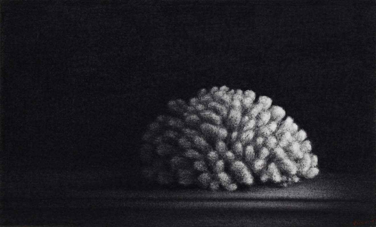 Nicolas Poignon, Le gros corail, 2017