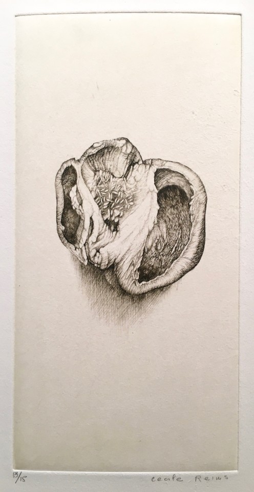 Cécile Reims, Anatomies végétales - Gravure #11, 2006-2007