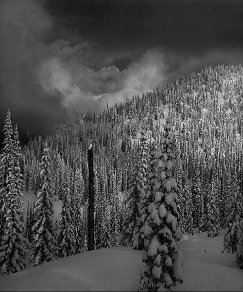 Jon Goodman, Forest & Clouds, Winterland, Nakusp, 2017