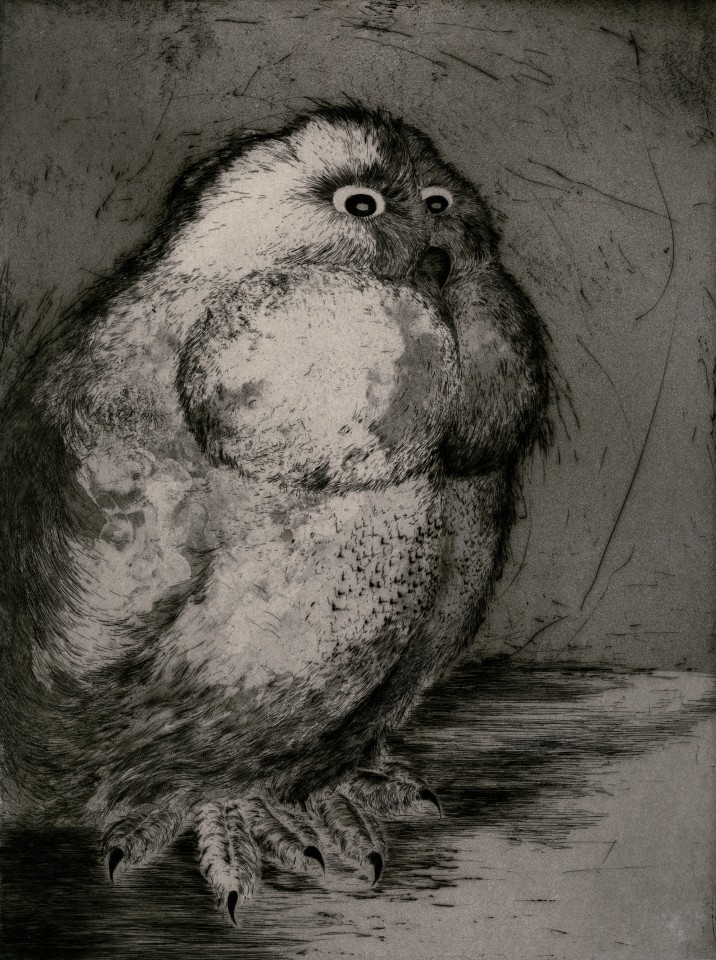 Marjan Seyedin, Hibou en pied 6, 2016