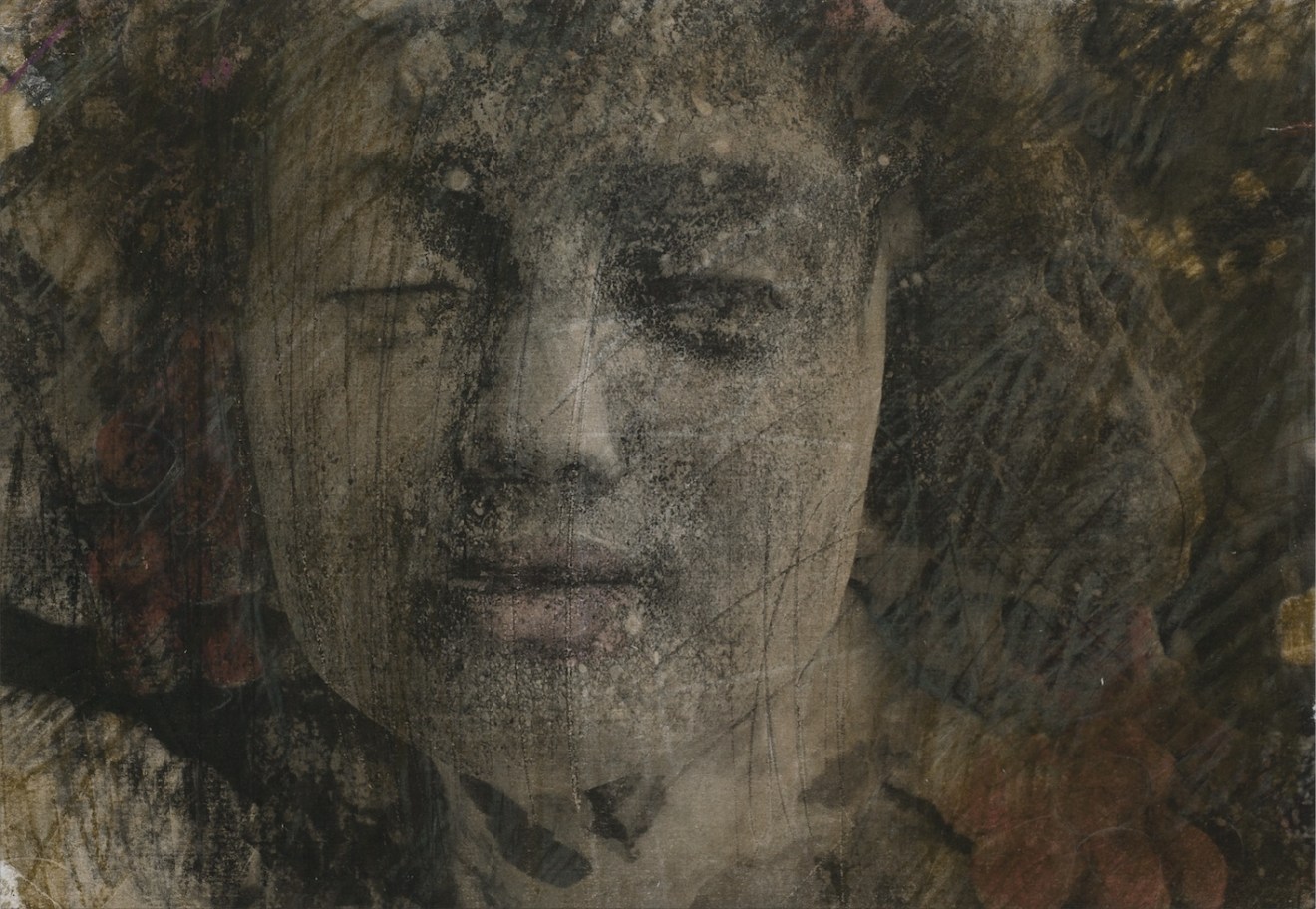 Farhad Ostovani, Bacco di Nervi, 2015