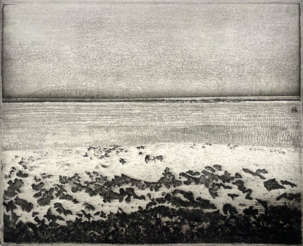 Charles Donker, Landschap Groningen Winter , 2021
