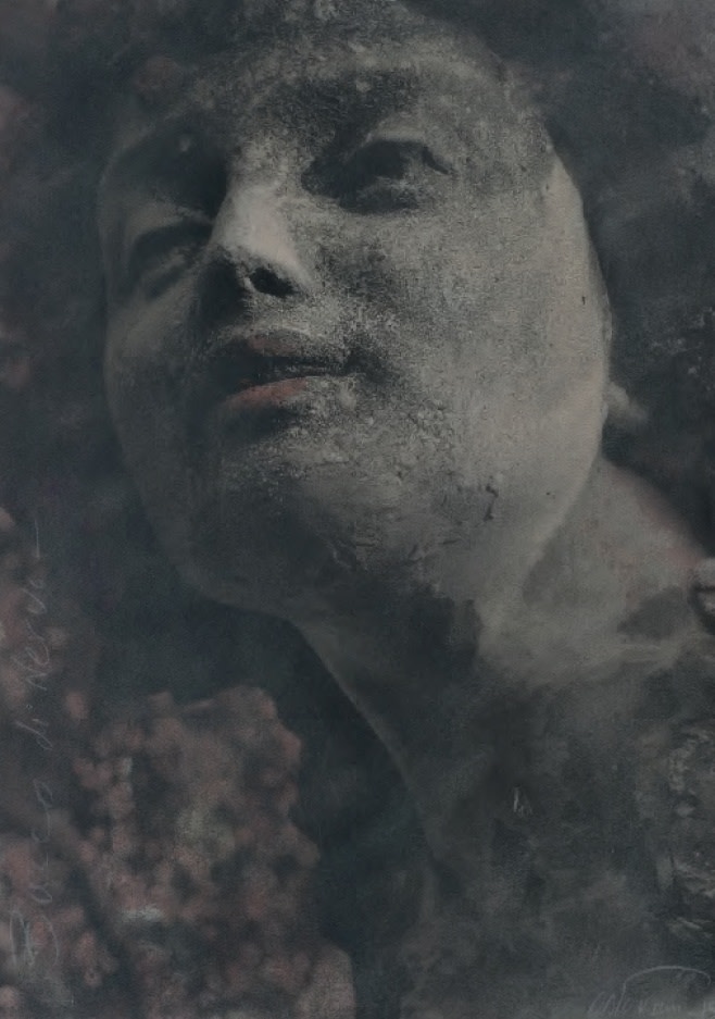 Farhad Ostovani, Bacco di Nervi, 2015