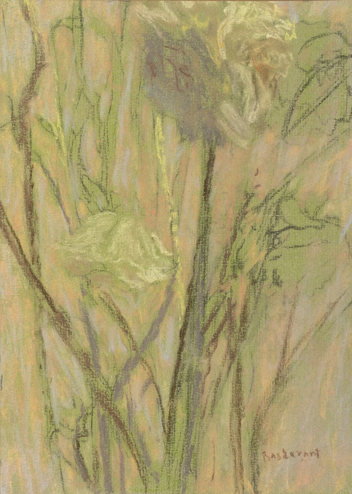 Martin Basdevant, Renoncules II, 2021