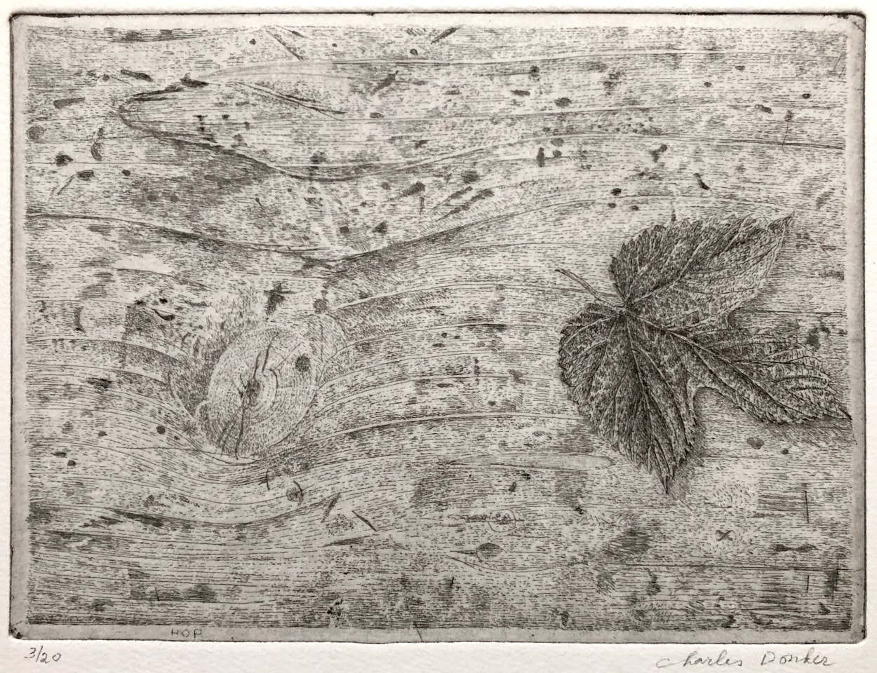 Charles Donker, Hopblad op houten tafel (Feuille de houblon sur table en bois), 2004