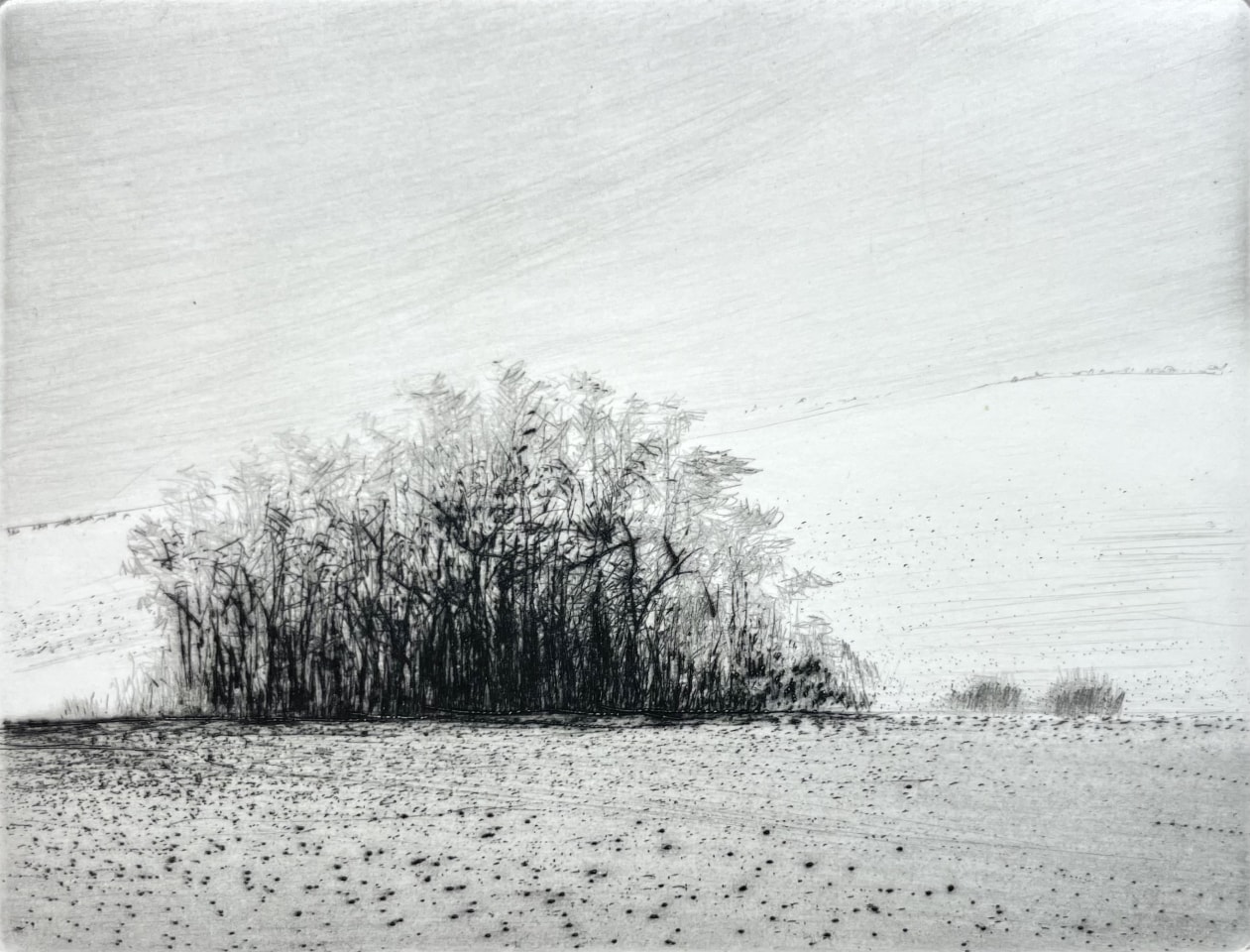 Maurice Maillard, Clair hiver, 2015