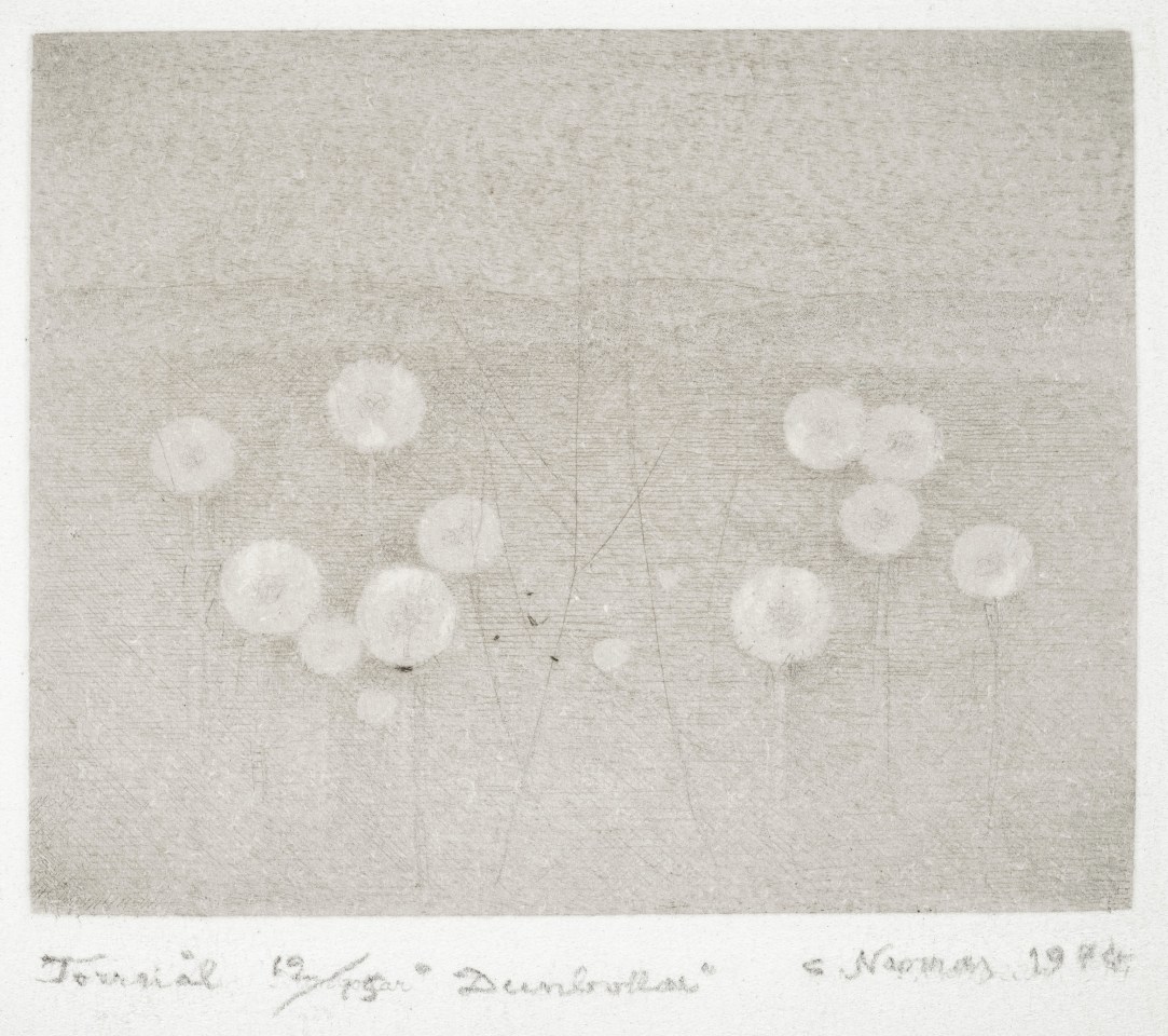 Gunnar Norrman, Dunbollar, 1974