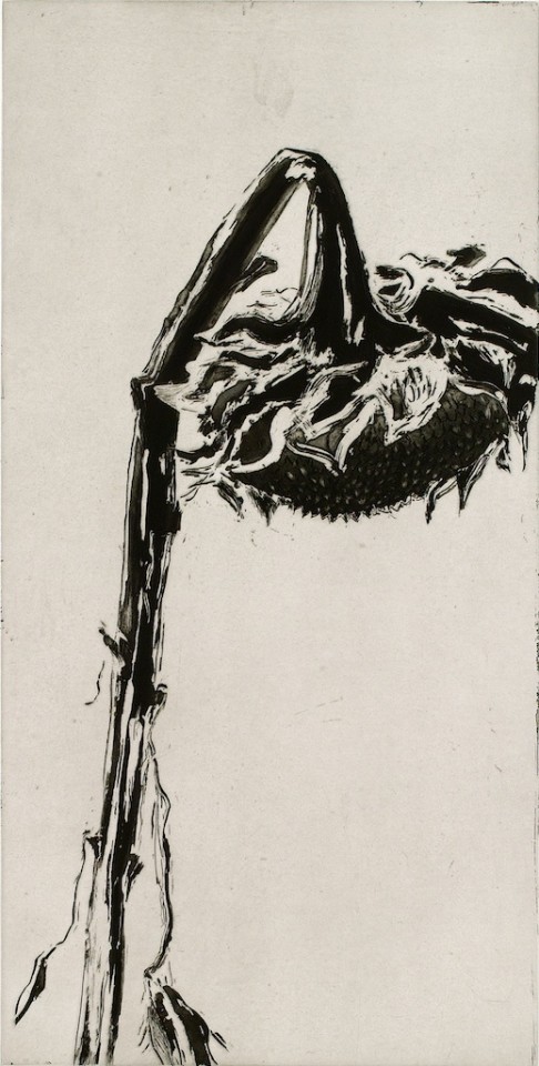 Astrid de La Forest, Tournesol cassé, 2005