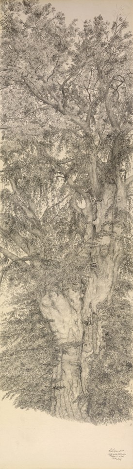 Gudrun von Maltzan, Berger hêtre, 2019