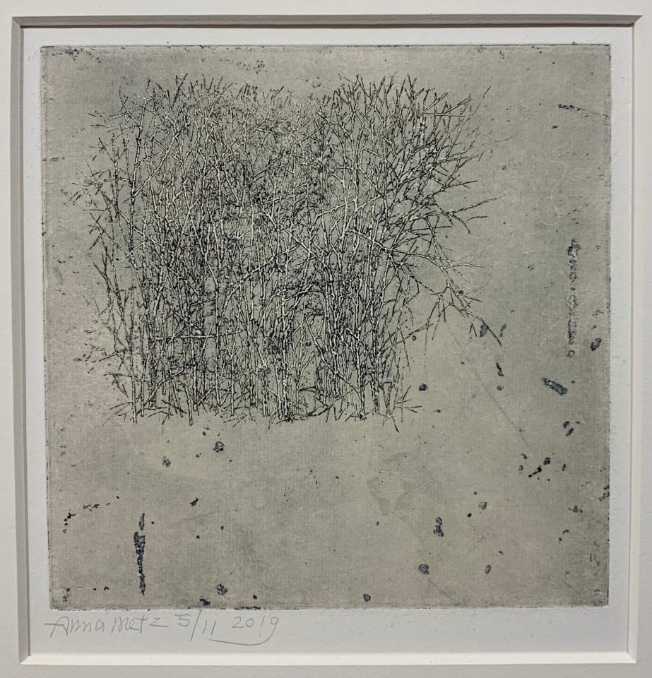 Anna Metz, Boomgroep (Bosquet), 2018-2019