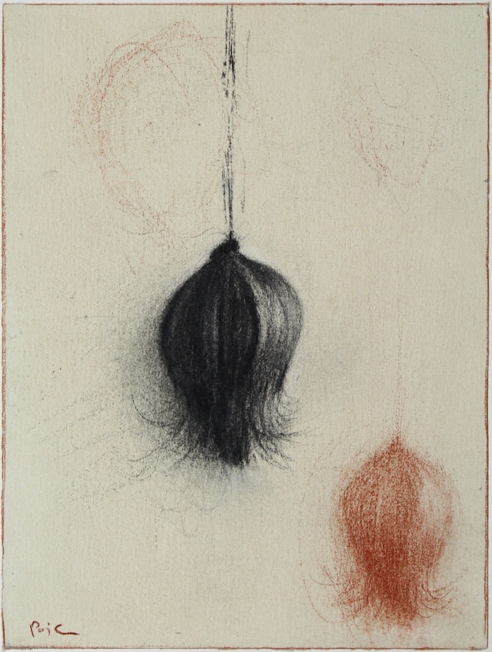 Nicolas Poignon, Fruit exotique VIII, 2017