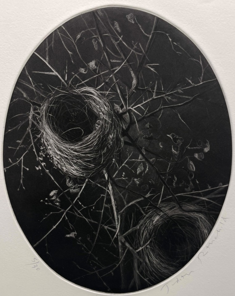 Judith Rothchild, Les Nids, 2024