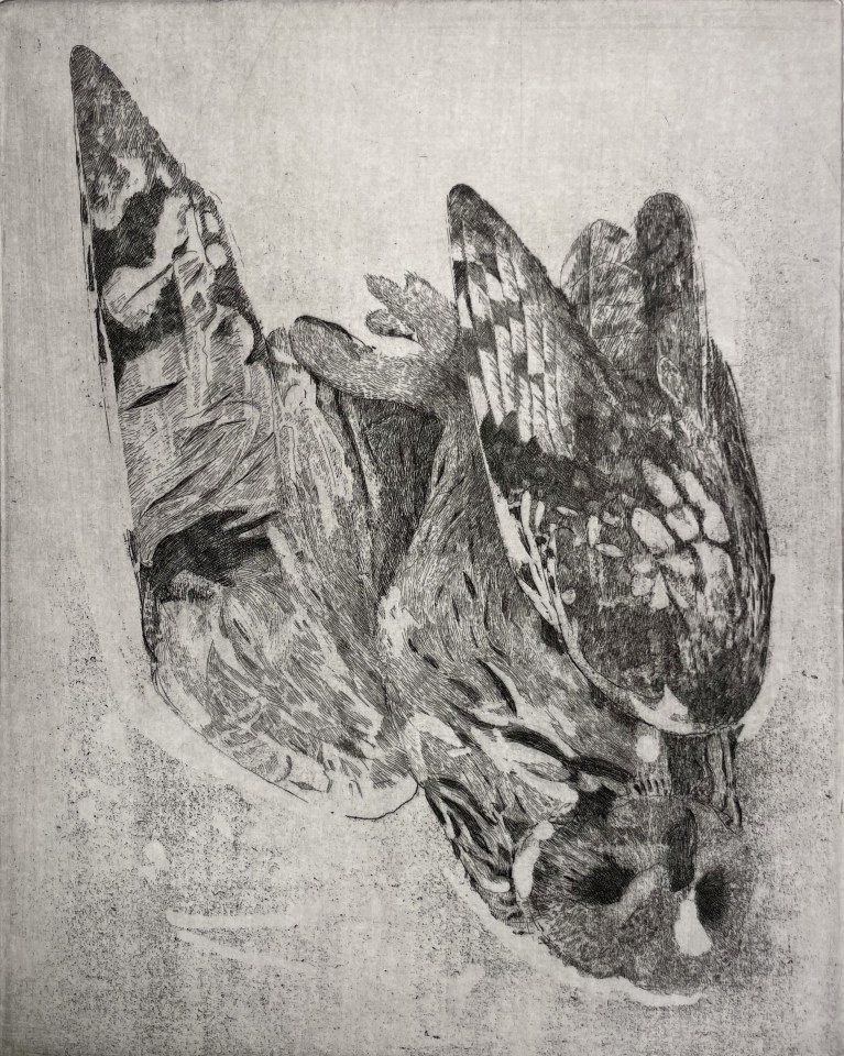 Charles Donker, Velduil II (Hibou des marais), 2023
