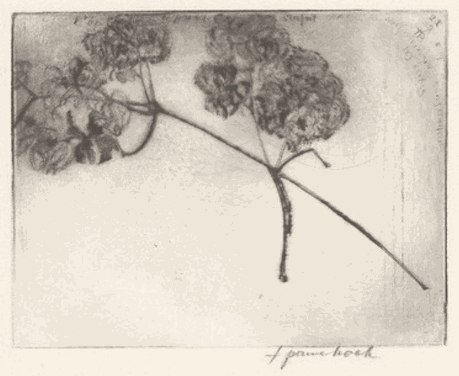 Frans Pannekoek, Two Branches with Blossom (Deux branches en fleurs), 1998