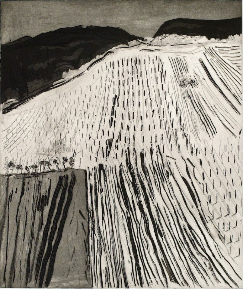 Astrid de La Forest, Grands champs d'hiver, 2005