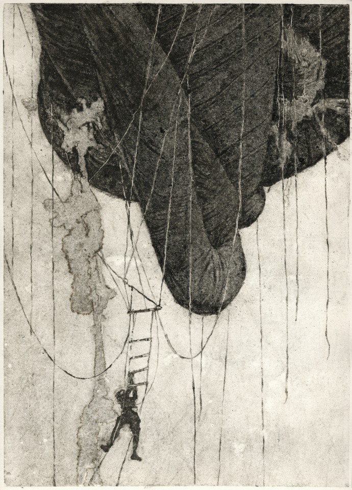 Édith Dufaux, Observation, 2021