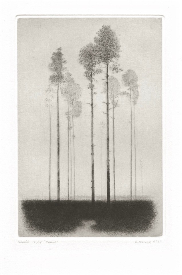 Gunnar Norrman, Tallhed, 1964